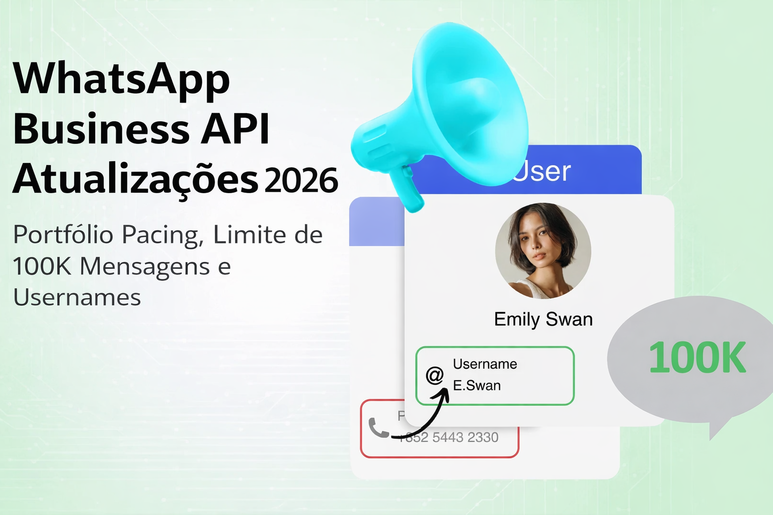 WhatsApp api 2026 - atualizações usernames